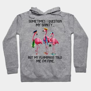 Sometime I question My sanity But my flamingos told me im fine Hoodie